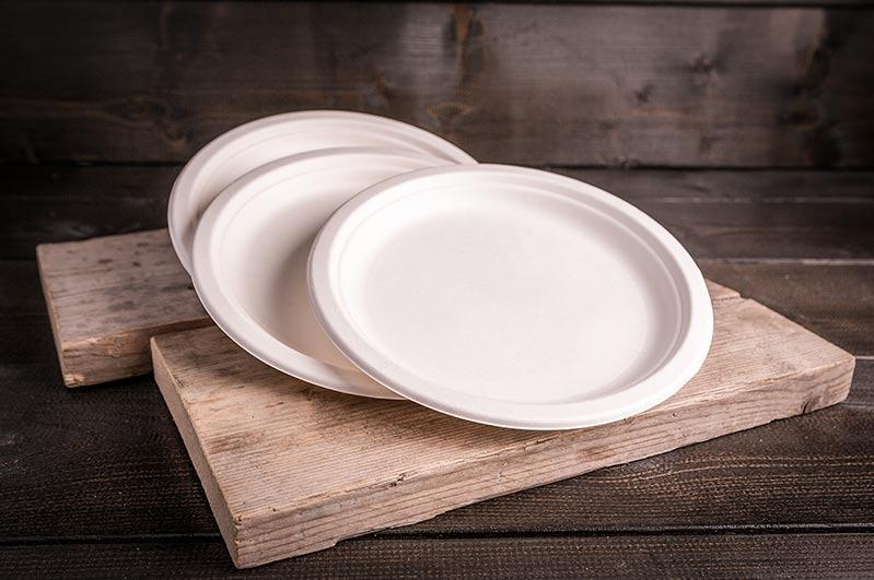 Bordjes 10st. wegwerp Composteerbaar