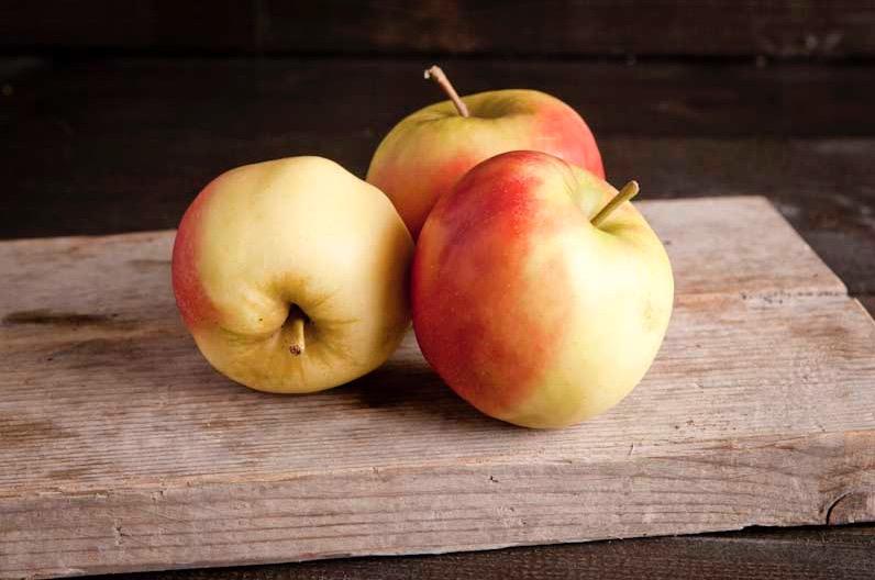 Elstar appel, klasse 1, per stuk